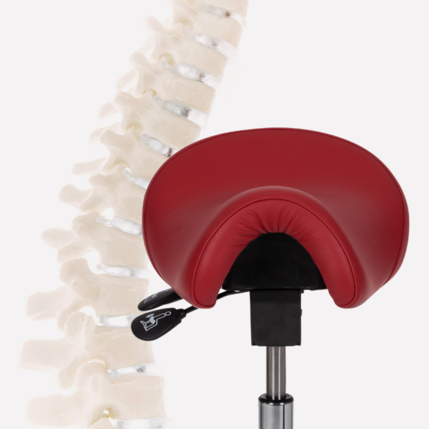 Prednosti sjedenja u sedlo stolici Bambach, kralježnica