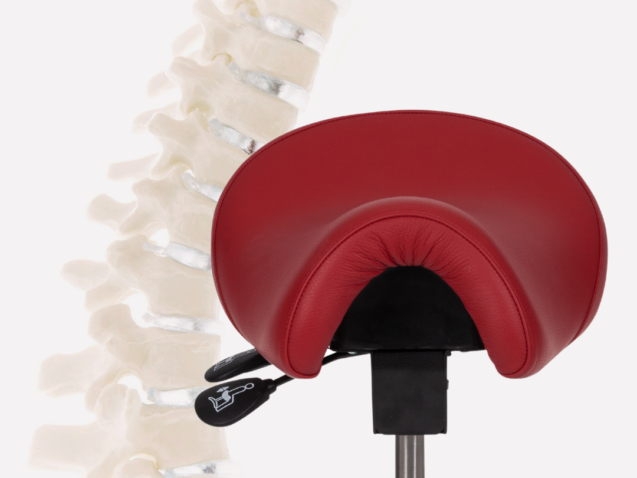 Prednosti sjedenja u sedlo stolici Bambach, kralježnica